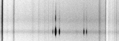 The spectrum of giant HII region in galaxy NGC 1084 (small)