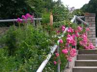 DSCN0016.JPG 