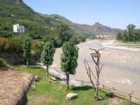  DSCN0082.JPG 