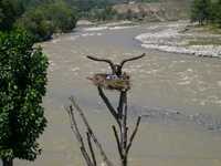  DSCN0083.JPG 