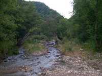  DSCN0117.JPG 