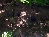 DSCN0129.JPG 