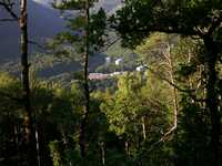 DSCN0130.JPG 