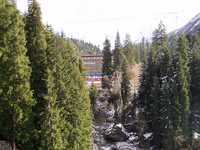  P1010767.JPG 