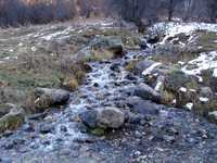  P1010960.JPG 
