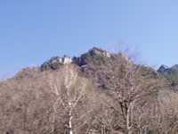  PB060578.JPG 