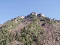  PB060579.JPG 