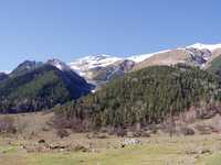  PB060584.JPG 