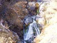  PB060608.JPG 