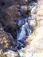  PB060612.JPG 