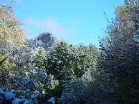  06.jpg 