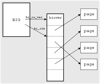 [Crude BIO diagram]