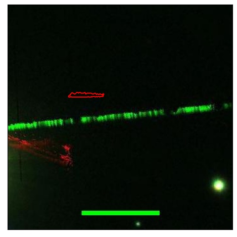 0644_037.0_contour_g