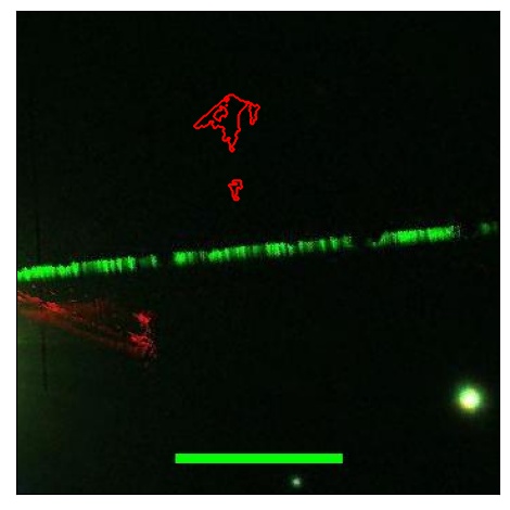 0644_037.0_contour_i