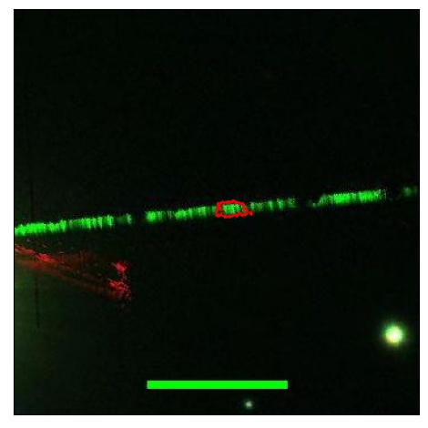 0644_037.0_contour_r