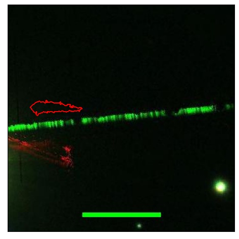 0644_037.0_contour_y