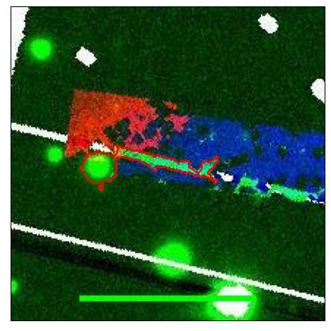 0659_047.0_contour_r