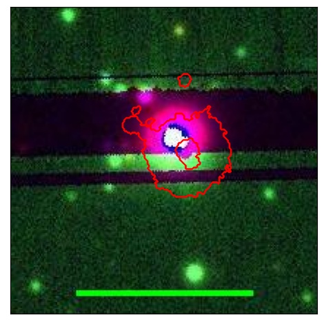 0659_053.1_contour_g