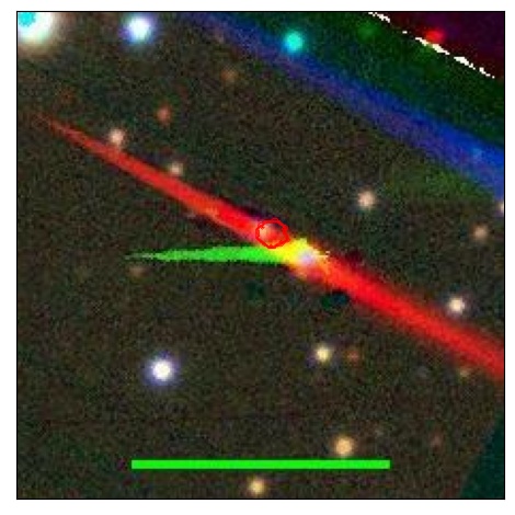 0661_019.0_contour_g