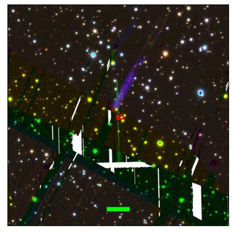 0661_049.0_contour_r