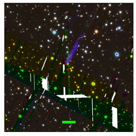 0661_049.0_contour_y