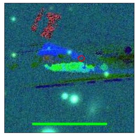 0666_031.0_contour_i