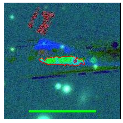 0666_031.0_contour_r