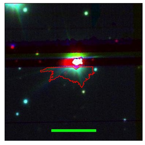 0667_031.0_contour_r