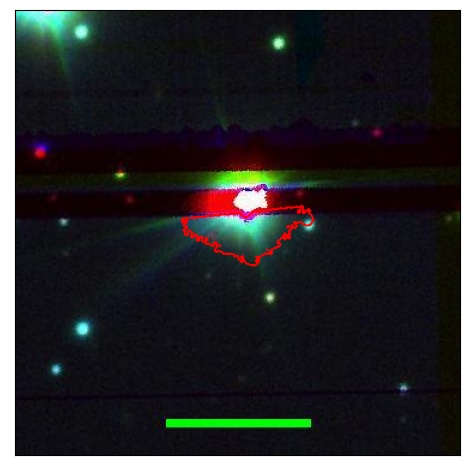 0667_031.0_contour_y