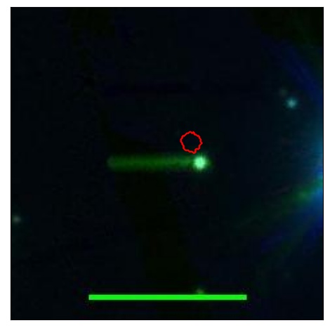 0667_045.0_contour_g