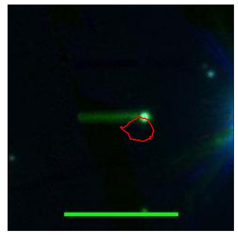 0667_045.0_contour_i