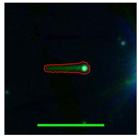 0667_045.0_contour_r