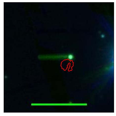 0667_045.0_contour_z