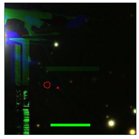 0669_089.0_contour_y