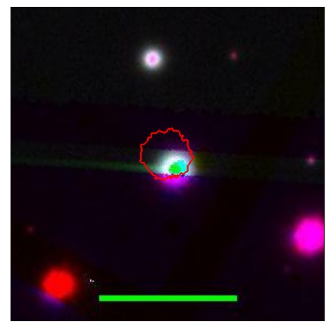 0679_028.0_contour_y