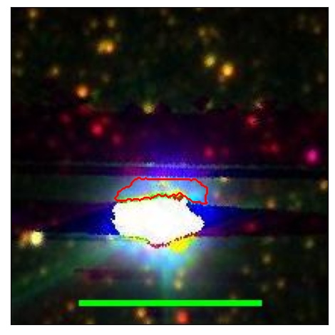 0693_048.1_contour_r