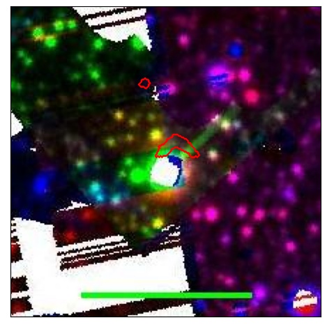 0694_042.0_contour_g