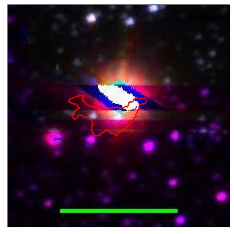 0695_010.0_contour_g