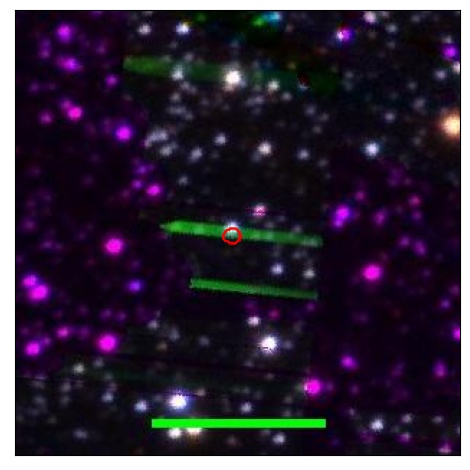 0695_010.1_contour_y