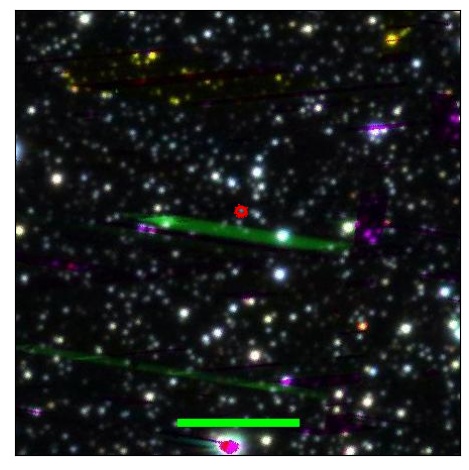 0695_010.3_contour_r