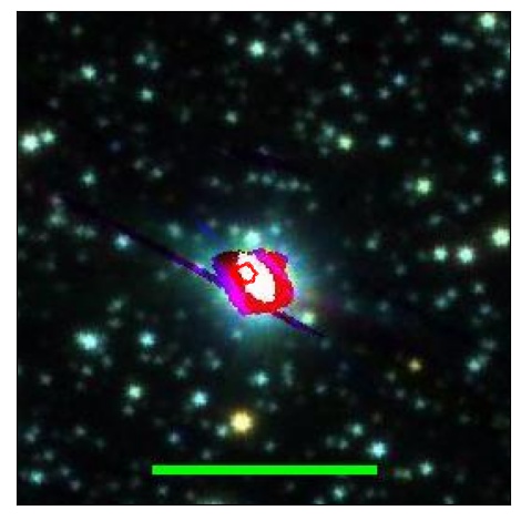 0695_020.0_contour_y