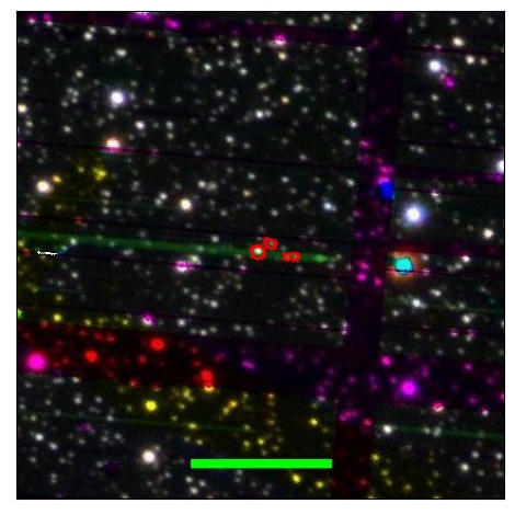 0696_038.0_contour_g