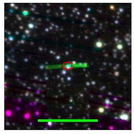 0696_038.1_contour_g