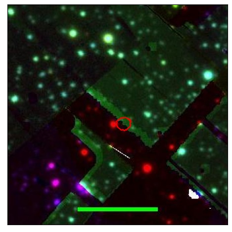 0696_044.1_contour_y