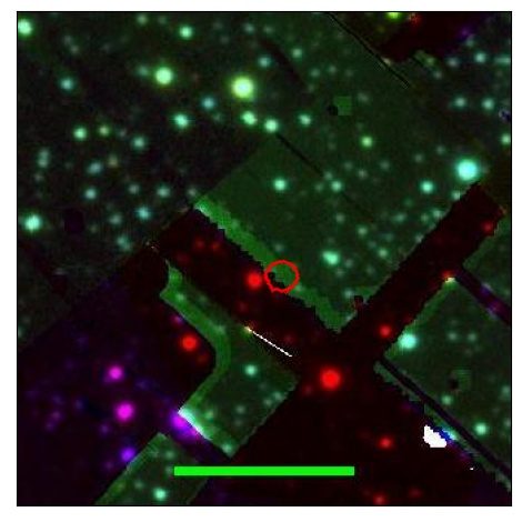 0696_044.1_contour_z