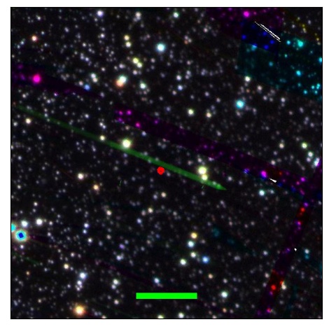 0696_048.2_contour_g