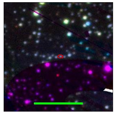 0696_053.0_contour_r