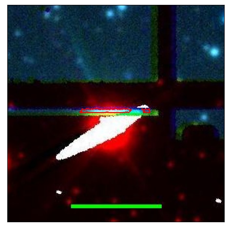 0697_013.0_contour_g