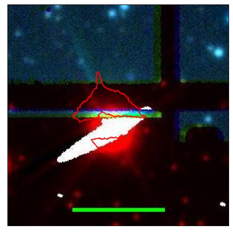 0697_013.0_contour_i