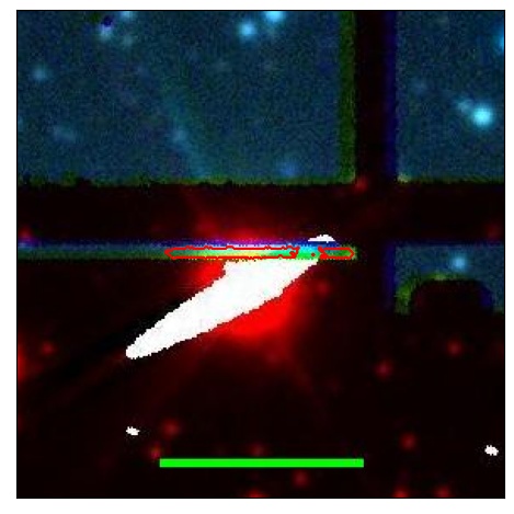 0697_013.0_contour_r